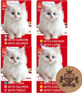 AETN Creations Gourmet-Style Adult Wet Cat Food Variety Pack – 24 x 50g Pouches in 4 Flavours (Fish & Meat Selection) + Fun Collectable Cat Quote Coaster