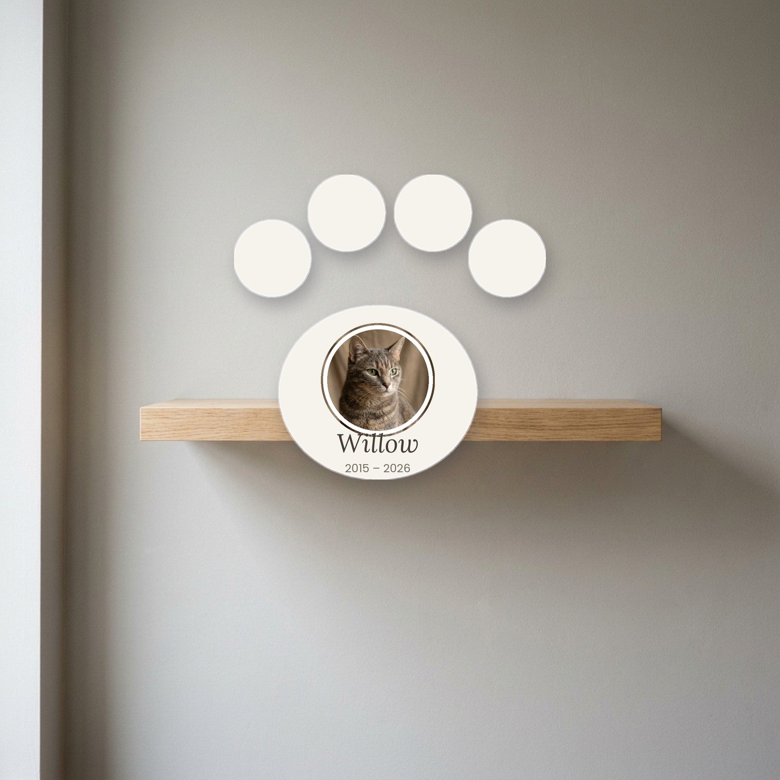 Paw print acrylic block displayed on a shelf