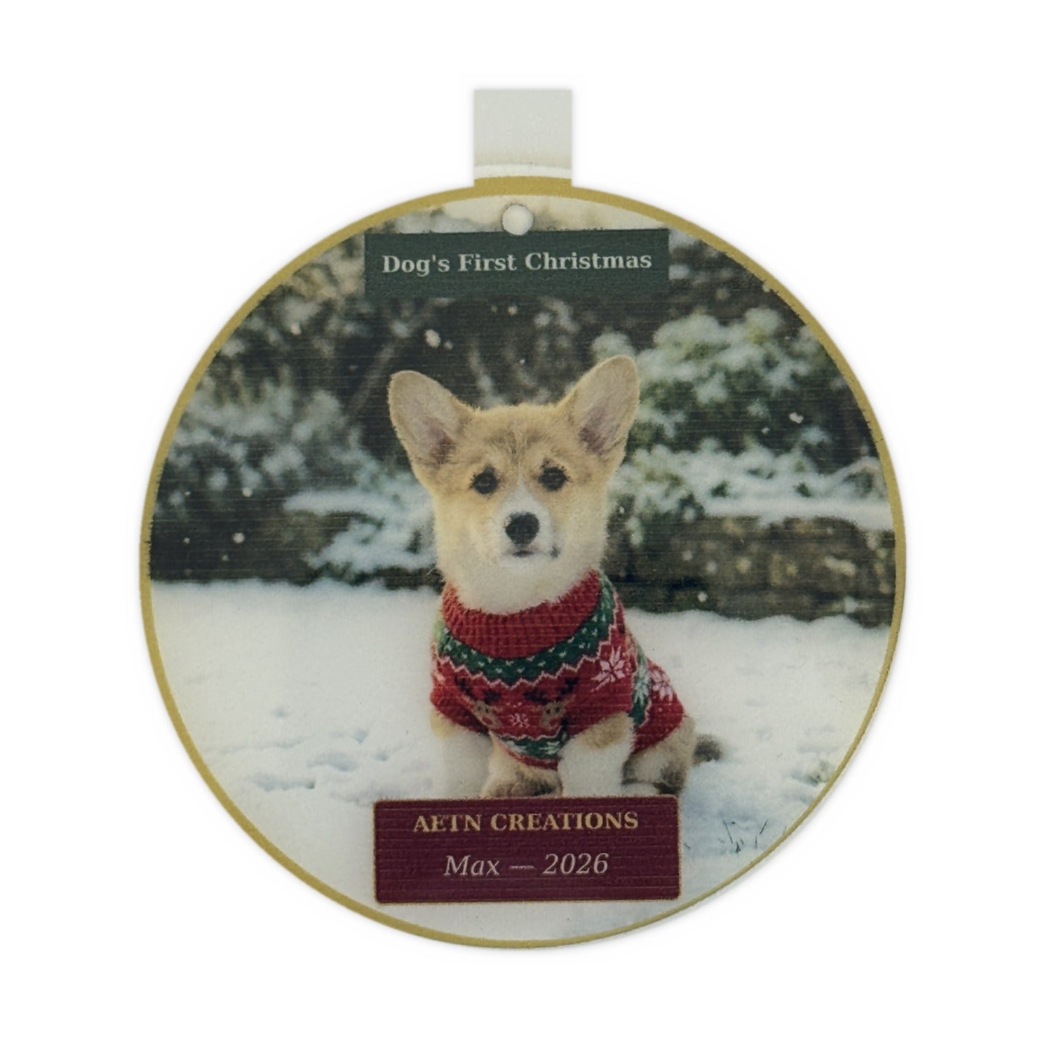 Personalised pet's first Christmas bauble