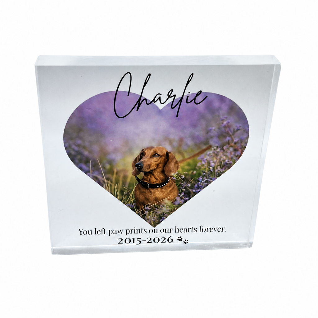 Pet memorial acrylic block with dog photo