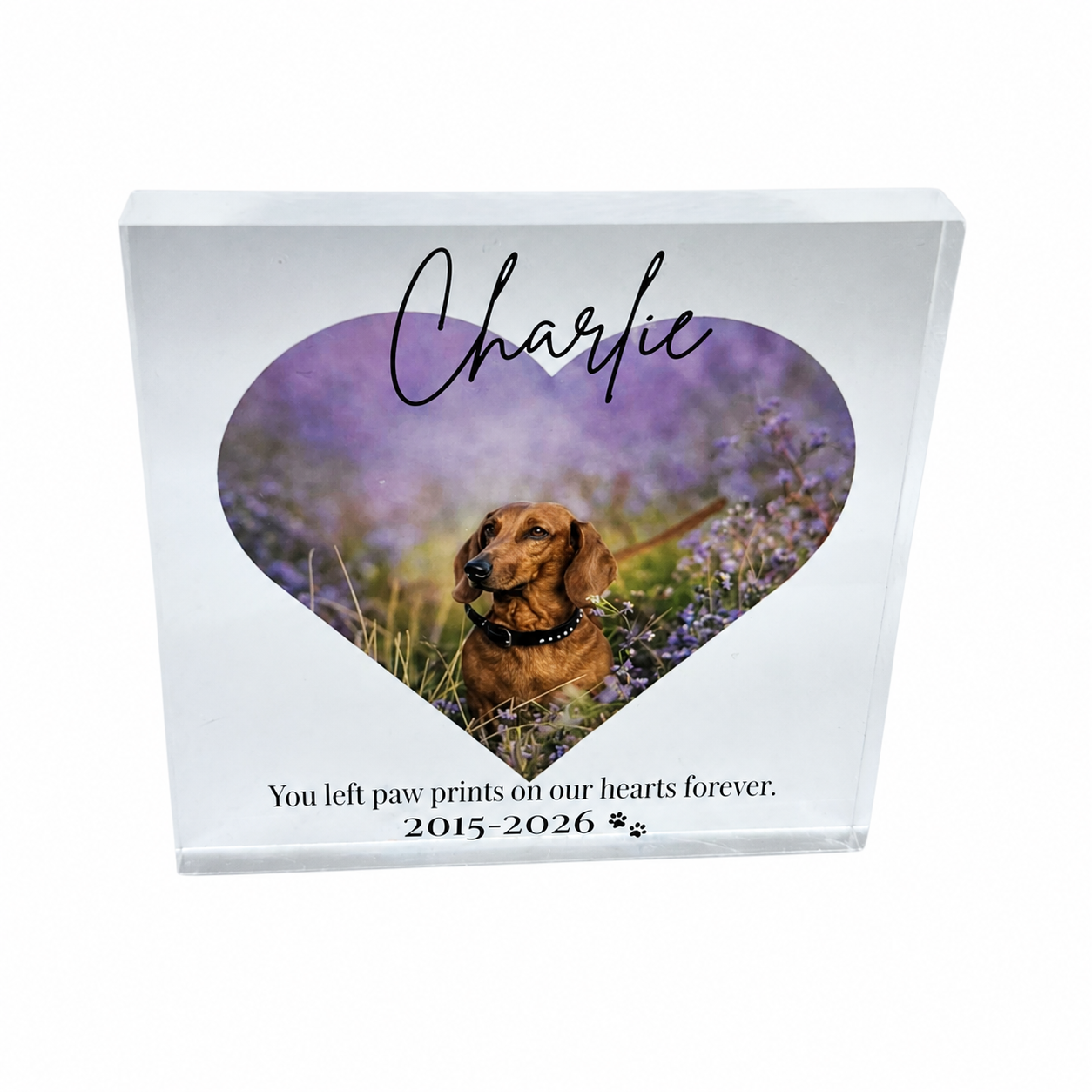 Pet memorial acrylic block with dog photo