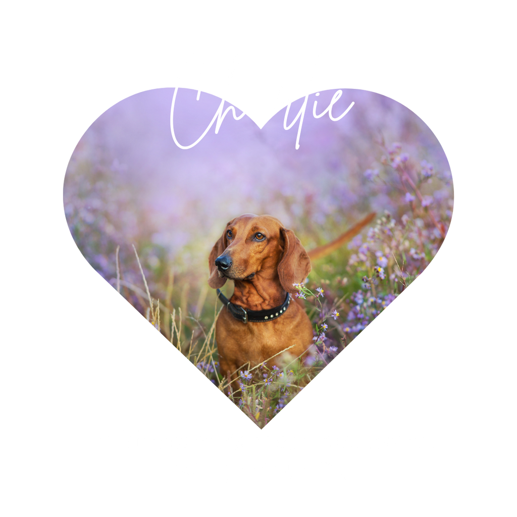 Personalised pet memorial acrylic photo block