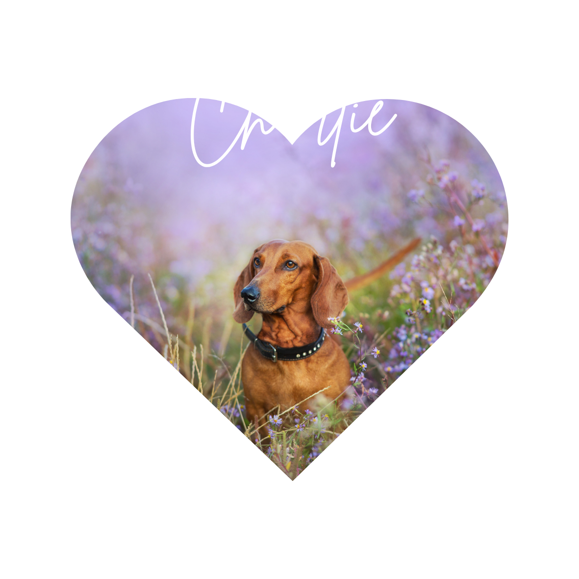 Personalised pet memorial acrylic photo block